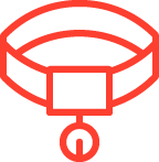 Zahnbehandlungen und kleine OPs durch mobile Tierarztpraxis – direkt bei Ihnen